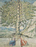 albero genealogico papa leone xiii
